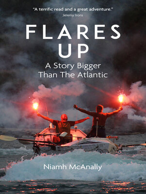 cover image of Flares Up